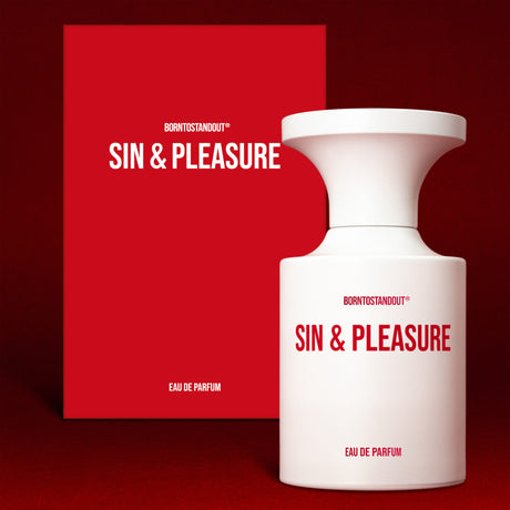 SIN&PLEASURE image 2