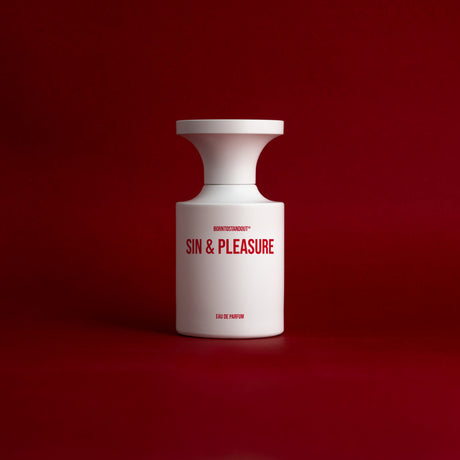 SIN&PLEASURE image 1